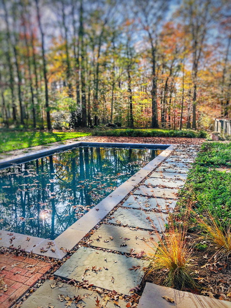 Pool - transitional pool idea