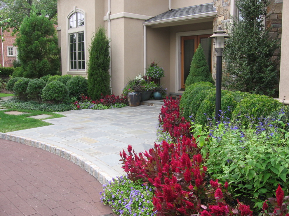 Front Entry Landscaping - Traditional - Garden - New York - by Cipriano ...