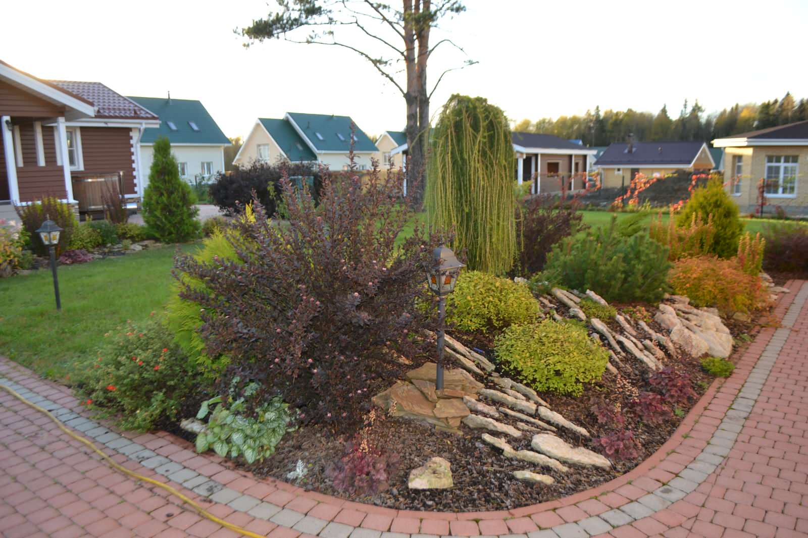 АЛЬПИНАРИИ И РОКАРИИ