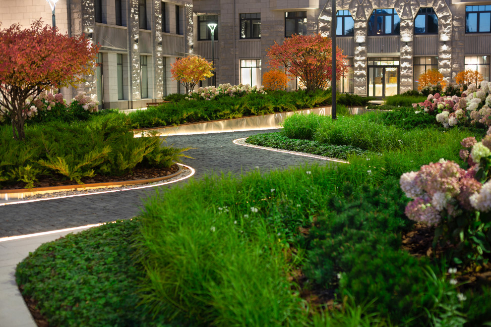 Северная корона