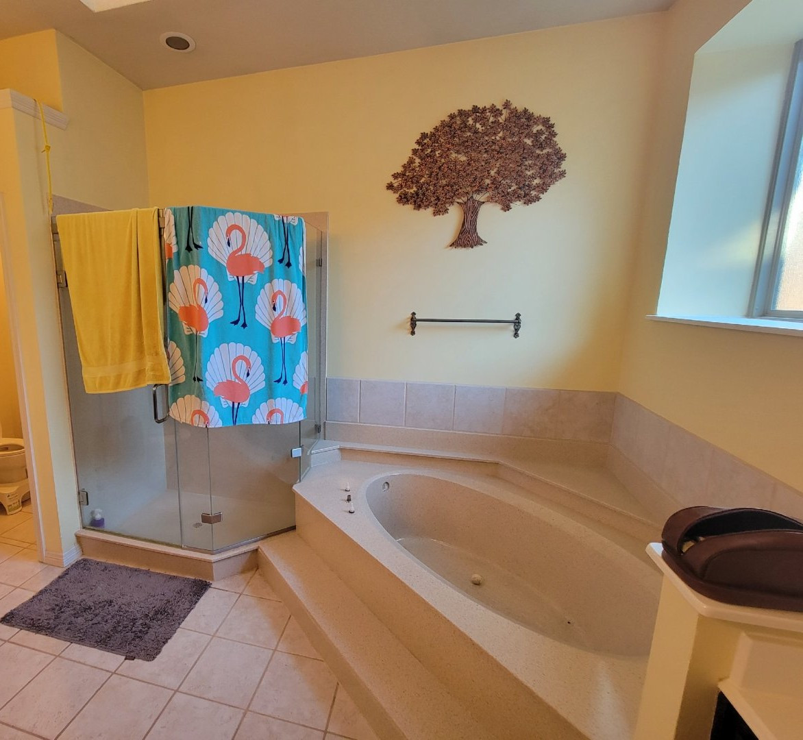 Carrollton TX - Master Bathroom Transformation