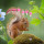 wanda_wissler