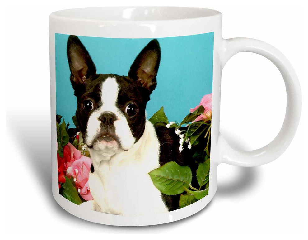 Details about   Boston Terrier Mug Kind of Obsessed With My Boston Terrier Dog Mug
