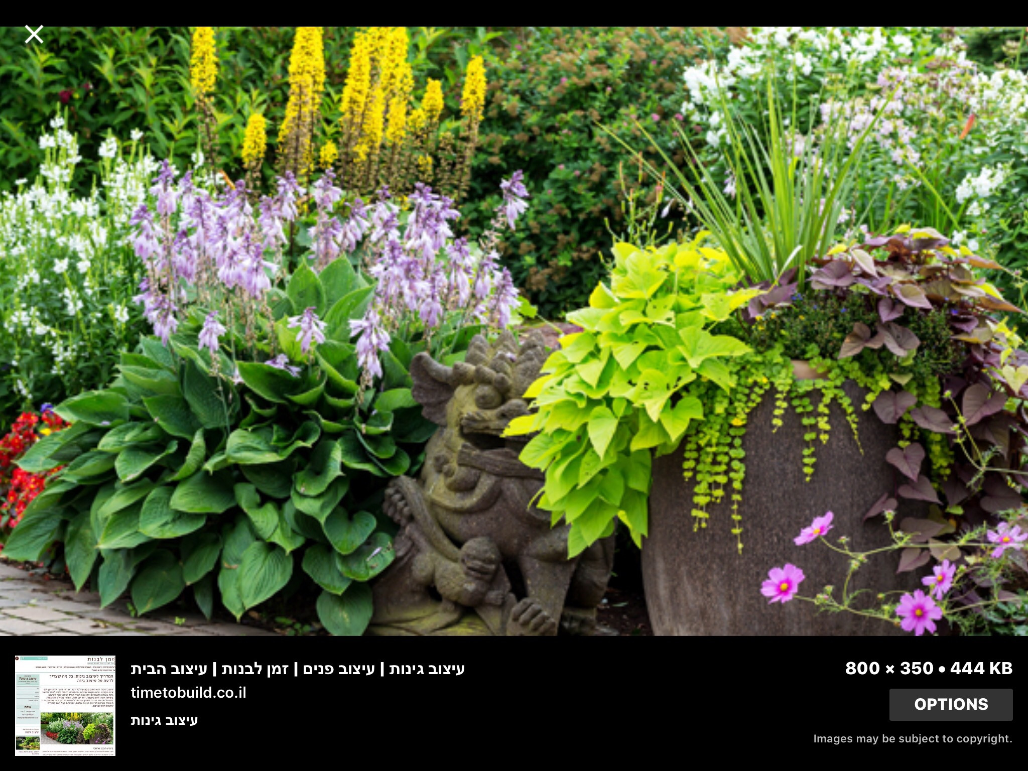 IMG_0038.PNG