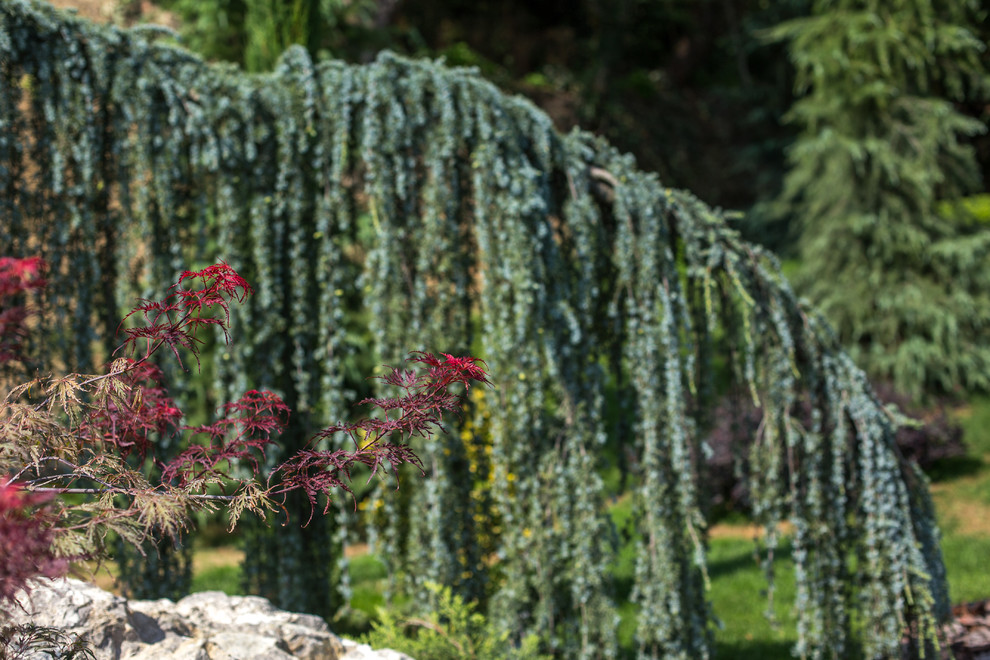 Ландшафтный Дизайн Олимпийский Сочи