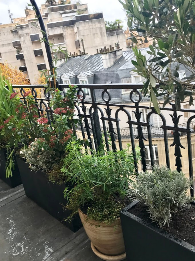 Mediterranean balcony in Paris.