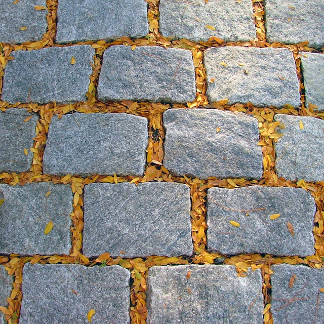 Patterns 