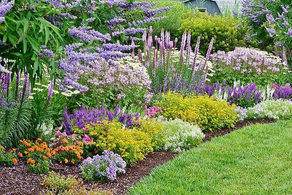 Pollinator Garden using tones of Purple