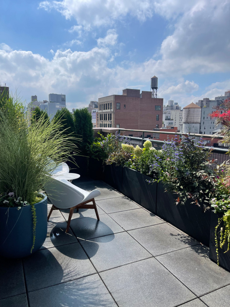 Fall Backyard Rooftop Chelsea Rooftop Garden in Fall - Contemporary - Landscape - New York ...