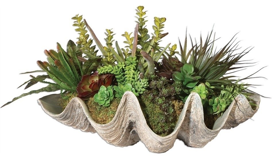 Coastal Clam Shell Faux Floral Succulent Plants Beach Style