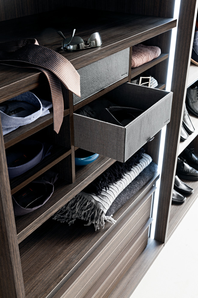 This is an example of a contemporary storage and wardrobe.