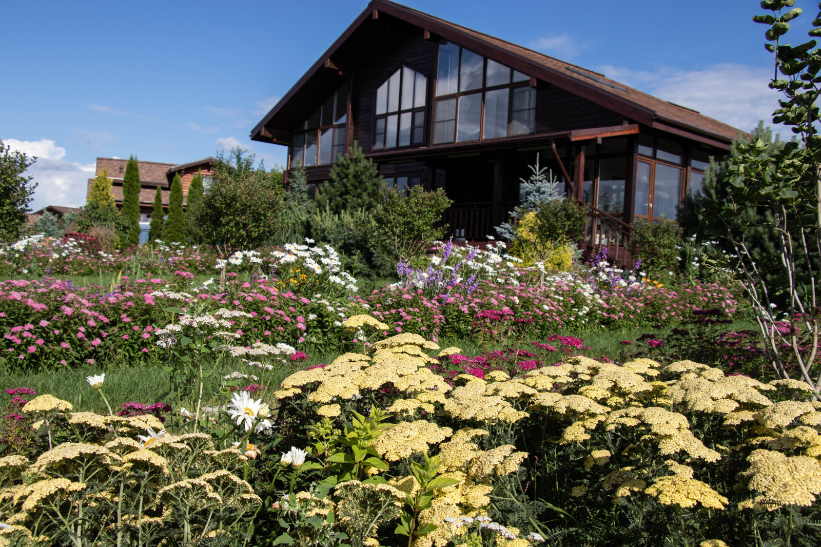 Сосновые берега