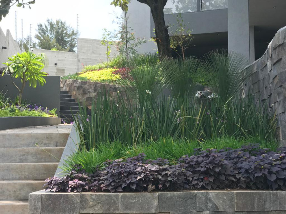 Esempio di un giardino boho chic esposto in pieno sole di medie dimensioni e dietro casa in estate con pavimentazioni in cemento e recinzione in pietra