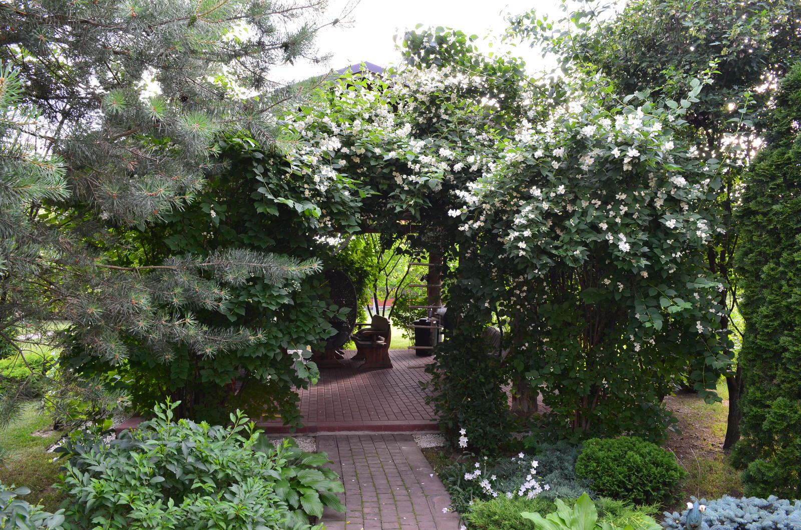 Сад "Царство растений" ландшафтный стиль.