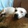 david_coates6766899