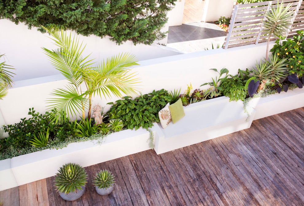 Photo of a mid-sized contemporary backyard garden in Sydney with a retaining wall and decking.