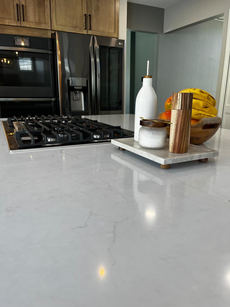 Hoffman Estates Main Level Renovation