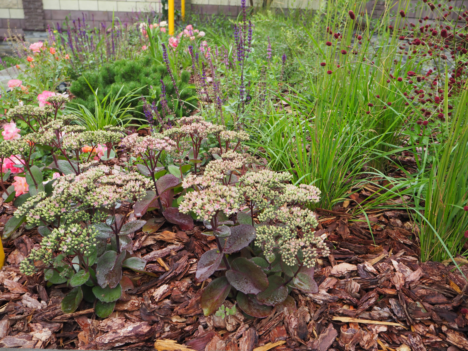 Частный сад в Самарской области