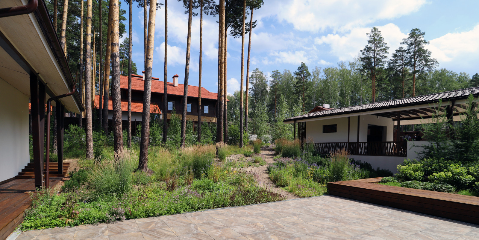 Лес и огород