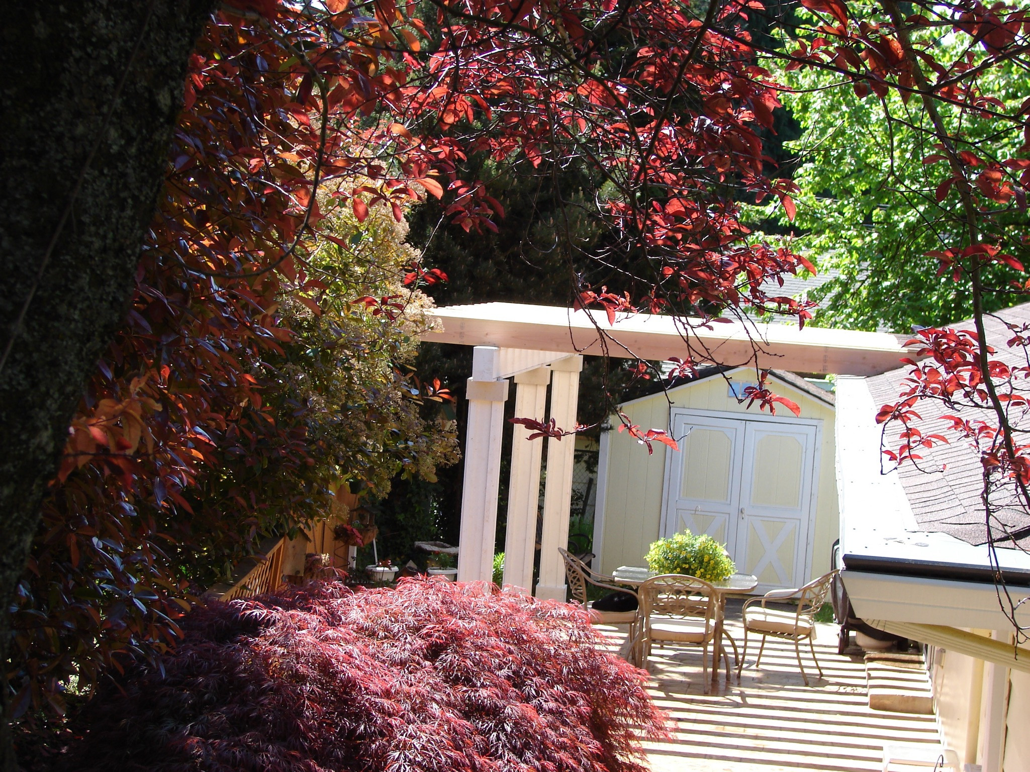 Trellis/Gazebo