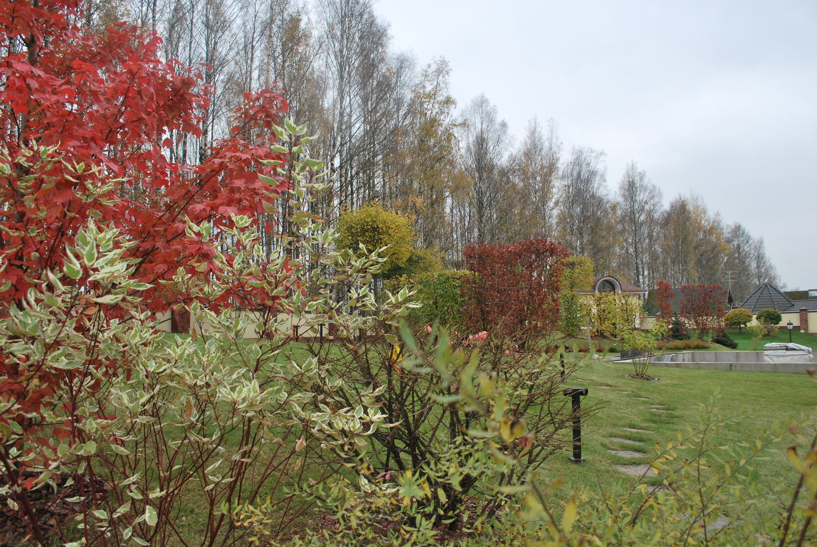 Сады по моим проектам.