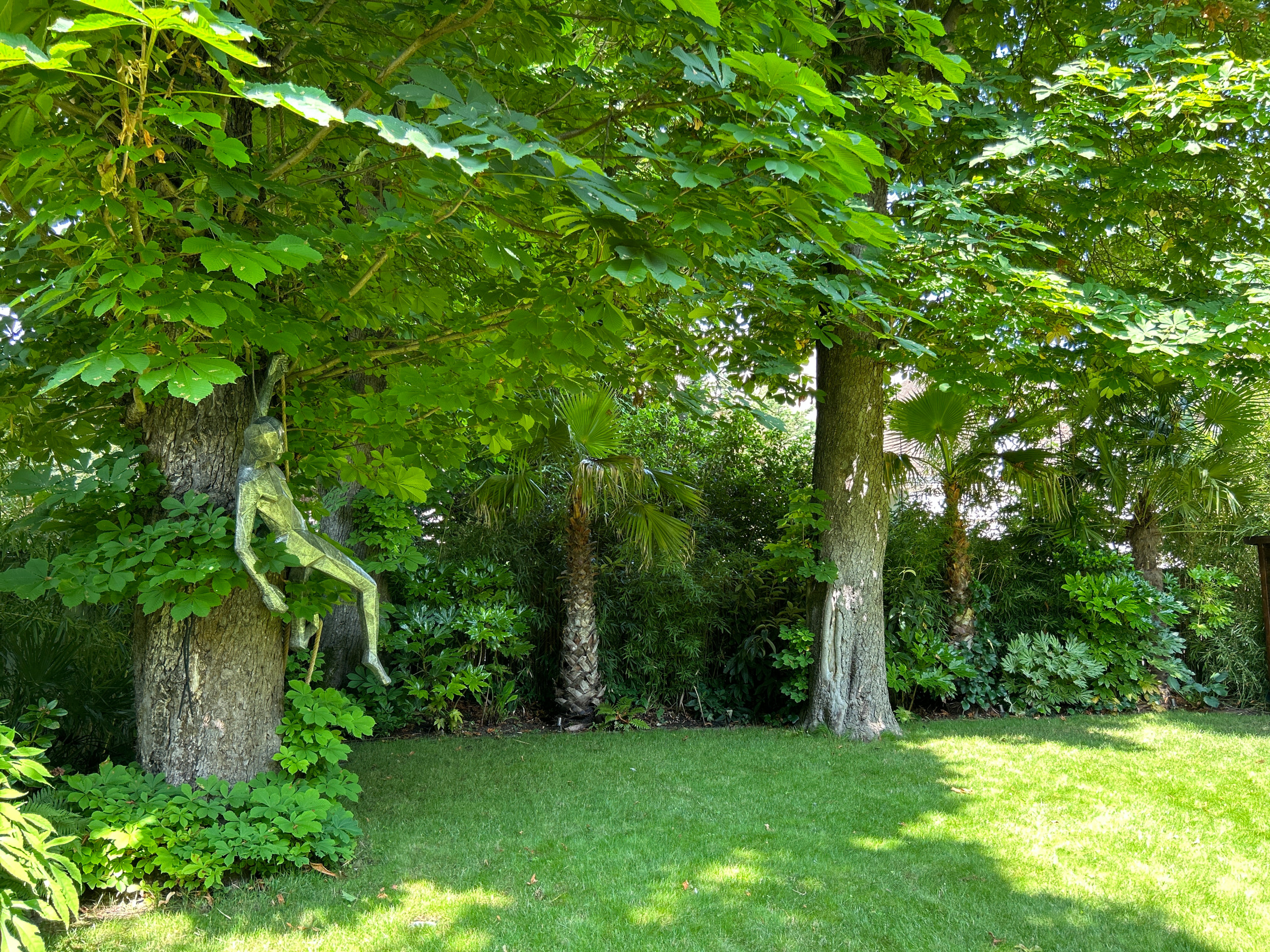 Réalisation d'un jardin tropical