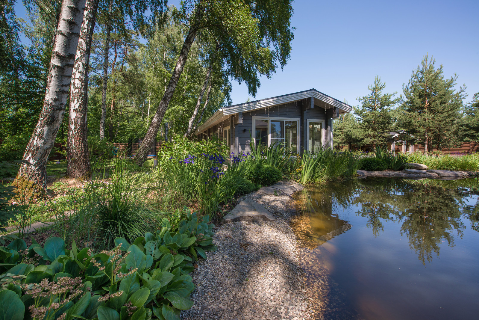 Озеро в лесу. Посёлок Приволье.