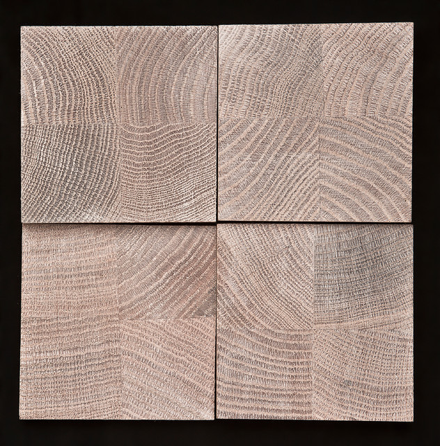 Rustic Projection contemporary