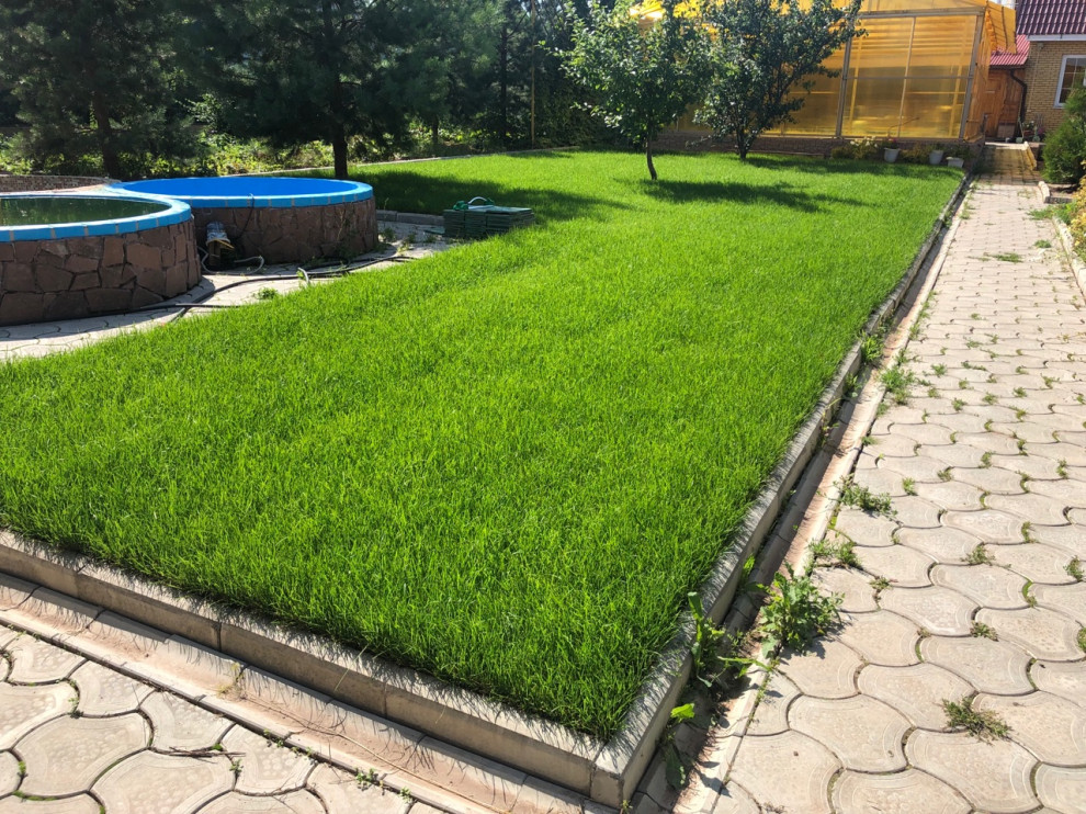 Устройство рулонного газона