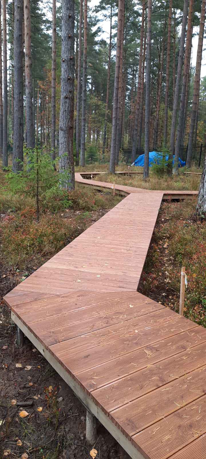 Текущий проект: Охта-Парк