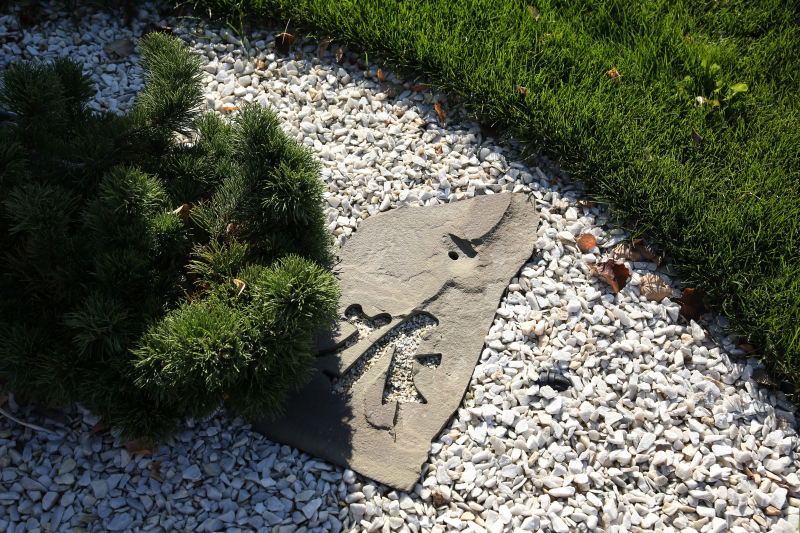 "Сад Солнца"