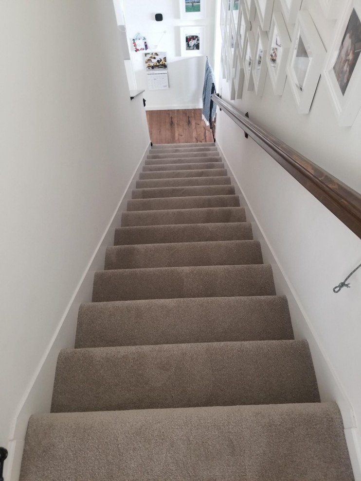 Inspiration for a carpeted straight wood railing staircase remodel in St Louis with carpeted risers