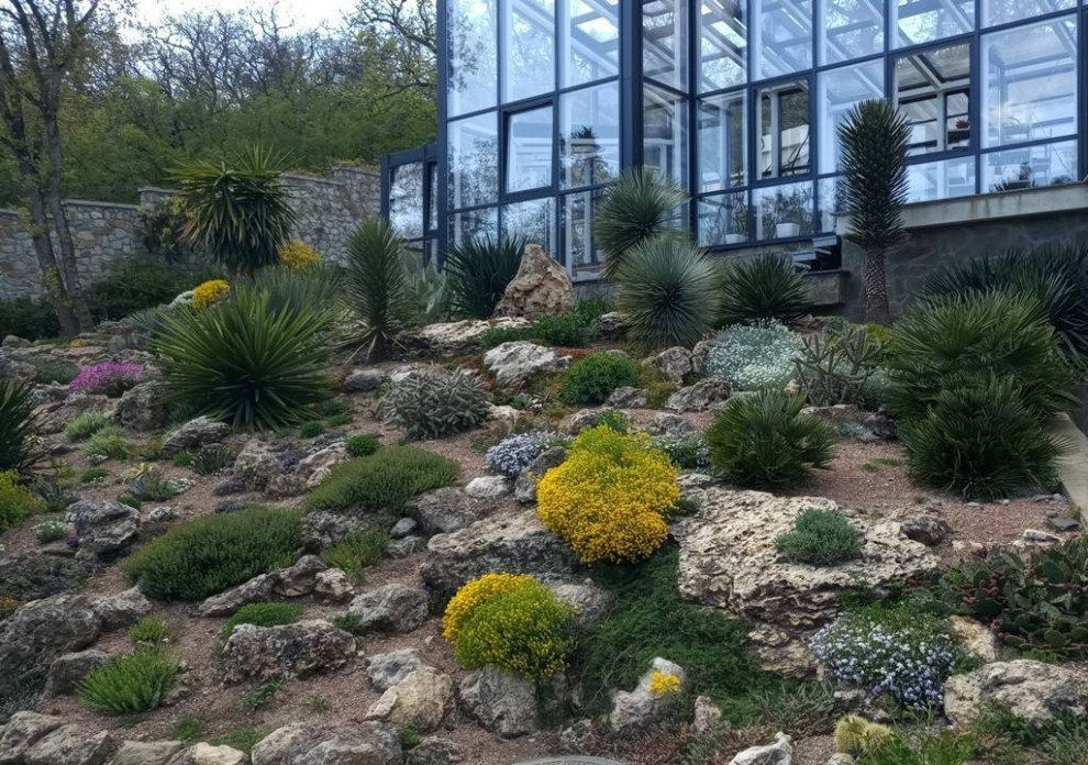 Esempio di un grande giardino xeriscape mediterraneo esposto in pieno sole in autunno con sassi e rocce e un pendio, una collina o una riva
