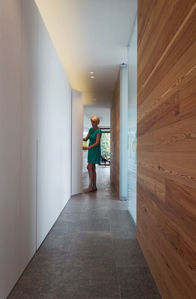 This is an example of a modern hallway in Other.