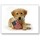 judy_simonelli