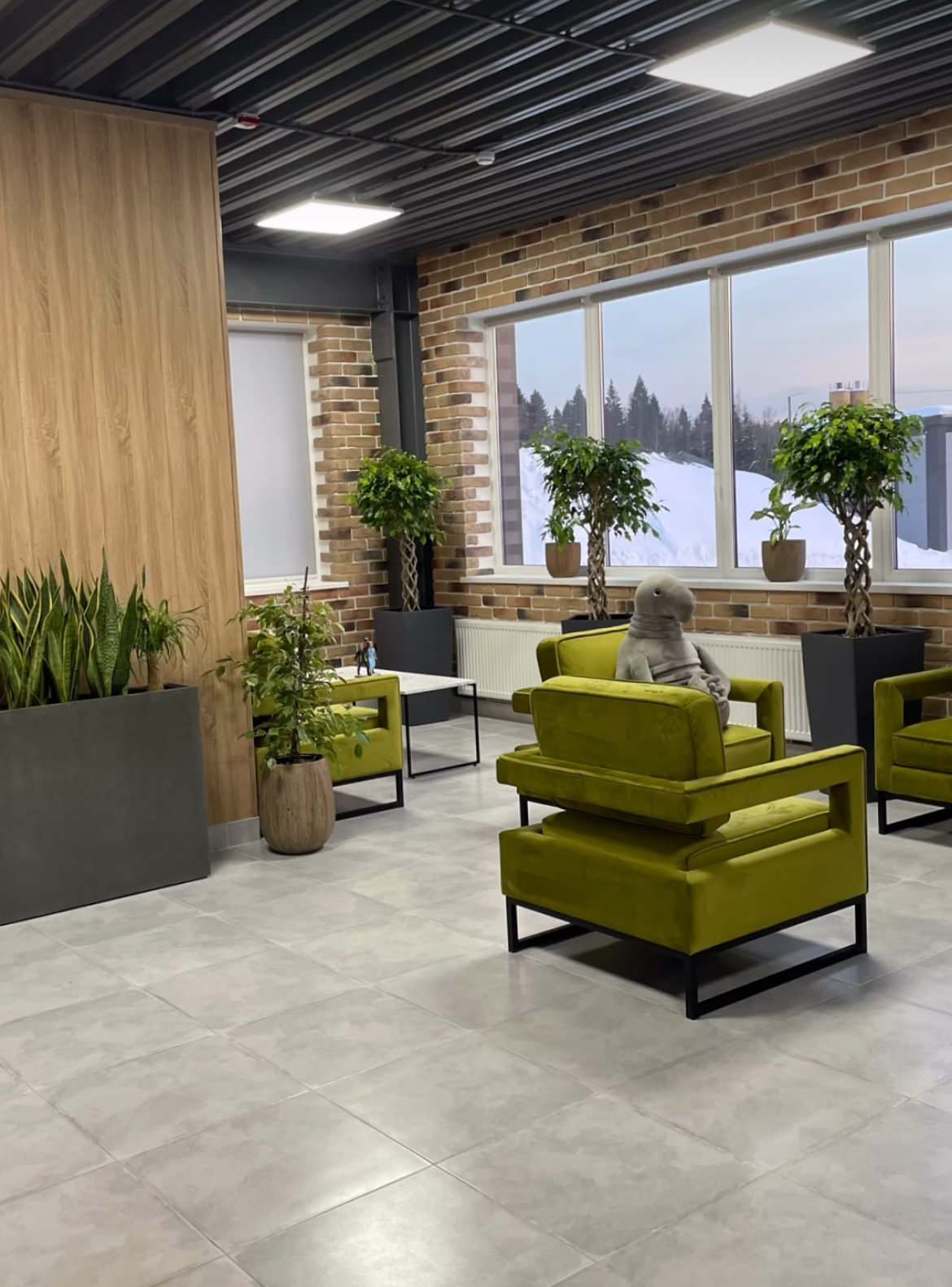 Озеленение офиса научно-производственного предприятия "ВЕГА"