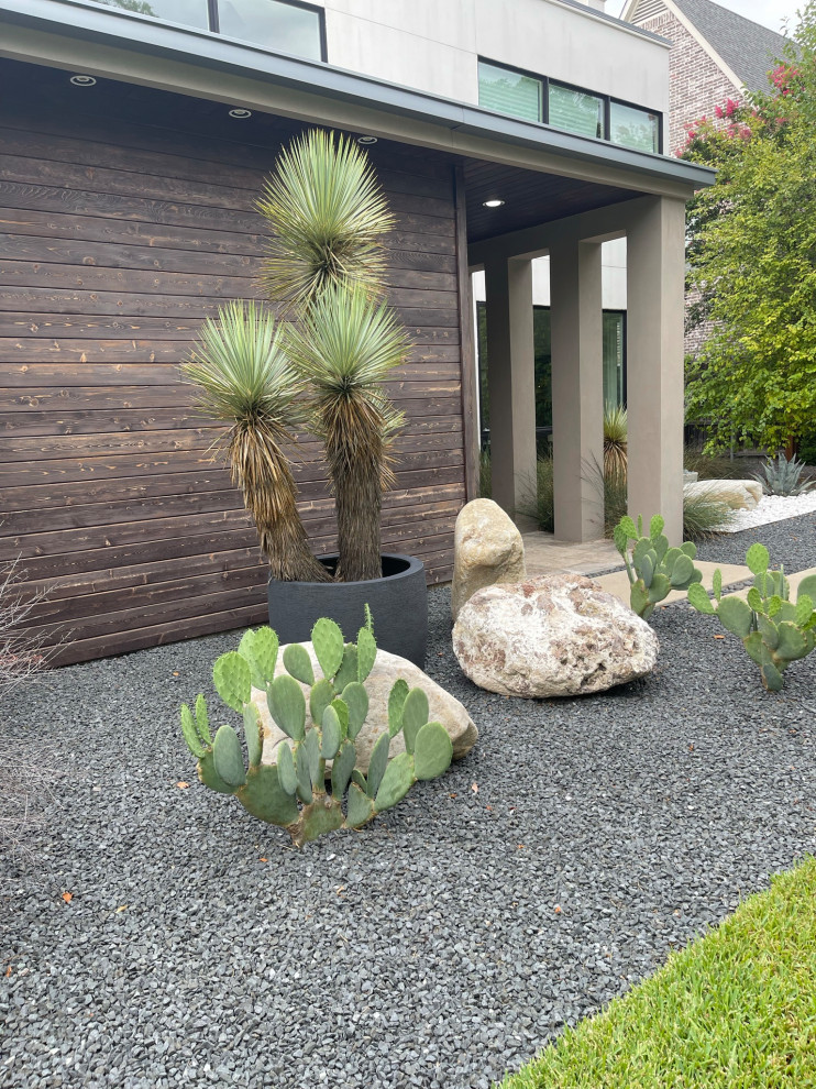 Turtle Creek Modern Landscape