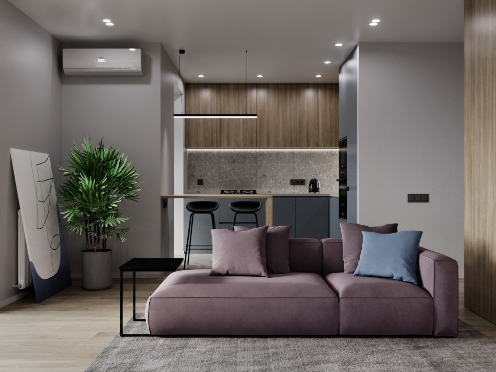 кухня-гостиная