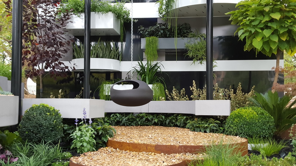 Inspiration for a small contemporary courtyard garden in Sydney.