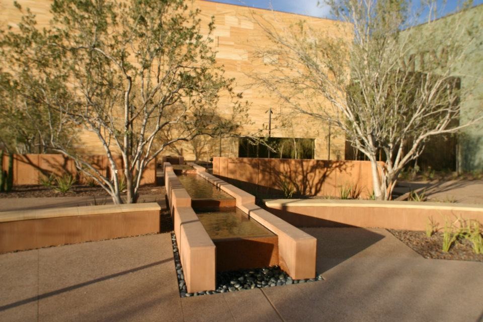 Design ideas for a contemporary garden in Phoenix.