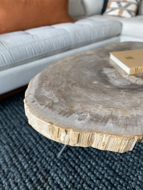 Held Home | Denver, CO | Modern Living Spaces Renovation