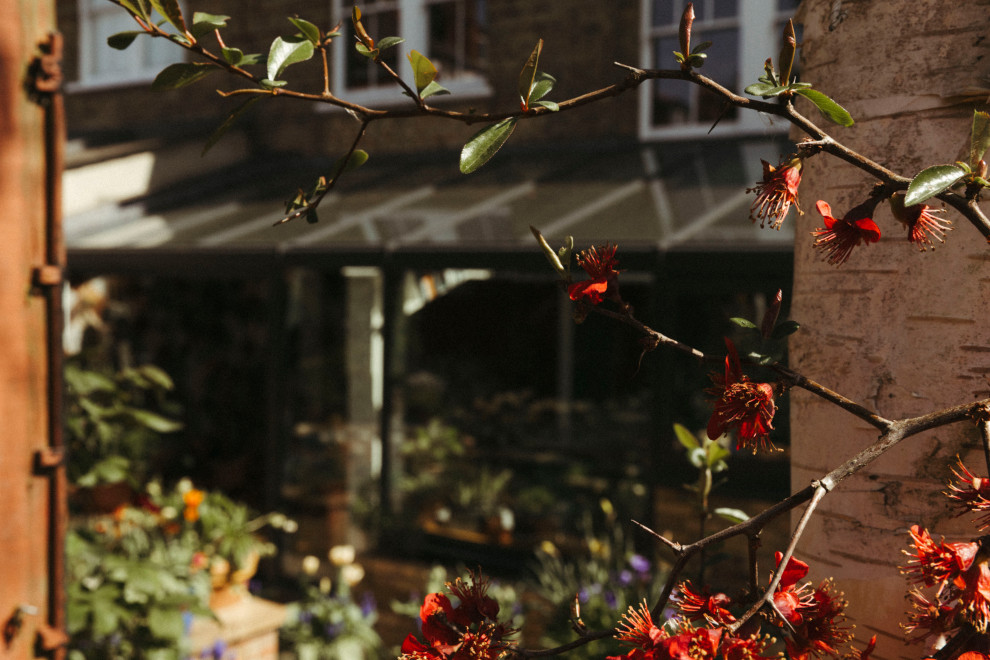 Victorian Terrace Rear Extension | North London | Contemporary Open-Plan