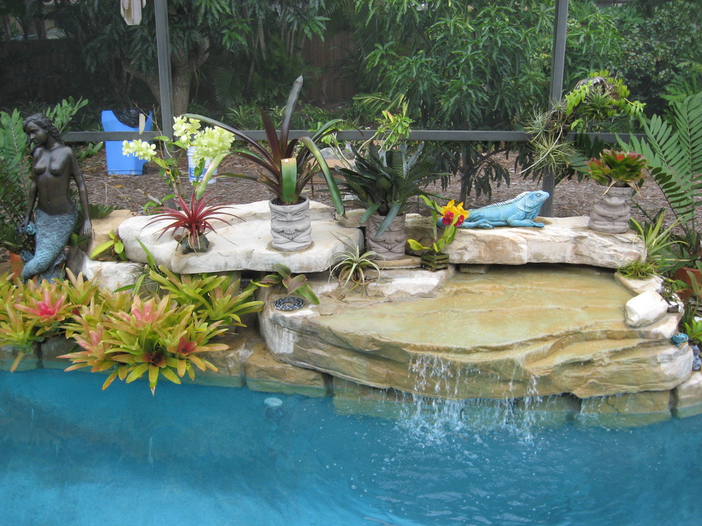 This is an example of a tropical pool in Tampa.