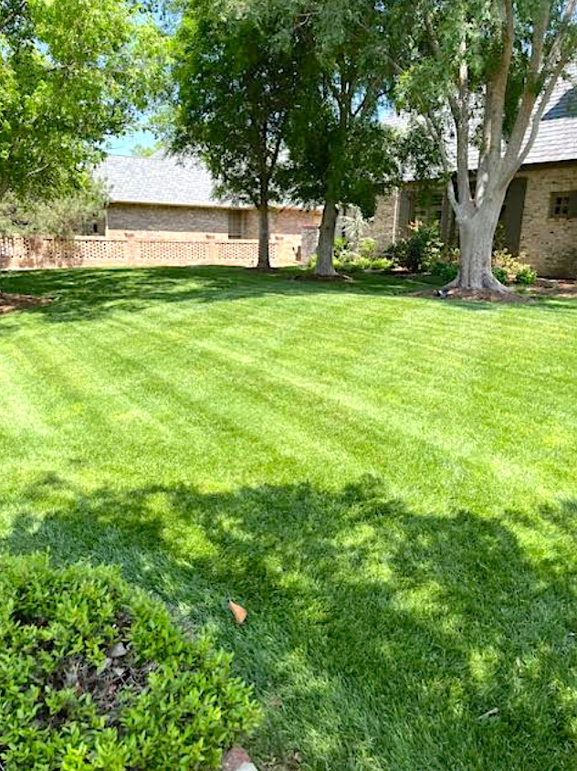 Lawncare