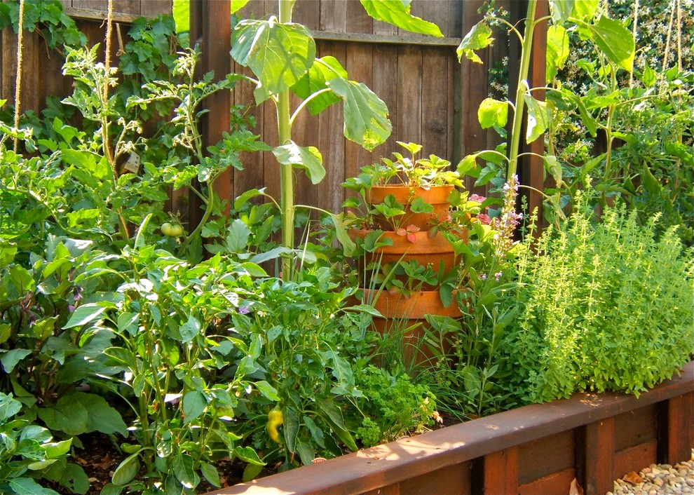 This is an example of a small country backyard full sun garden for summer in San Francisco with a vegetable garden and gravel.