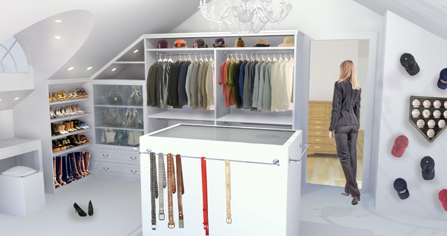 Master Closet transitional-rendering