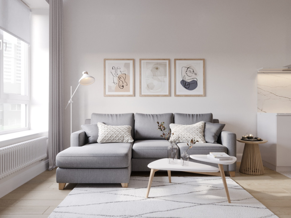 Гостиная-кухня