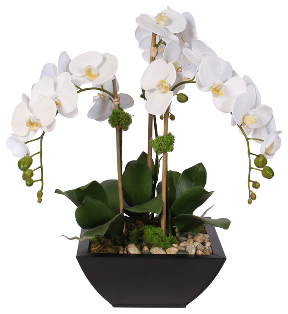Real Touch Arrangement Of White Phalaenopsis Orchid Succulents In A Metal Pot Contemporary Artificial Flower Arrangements By Jenny Silks