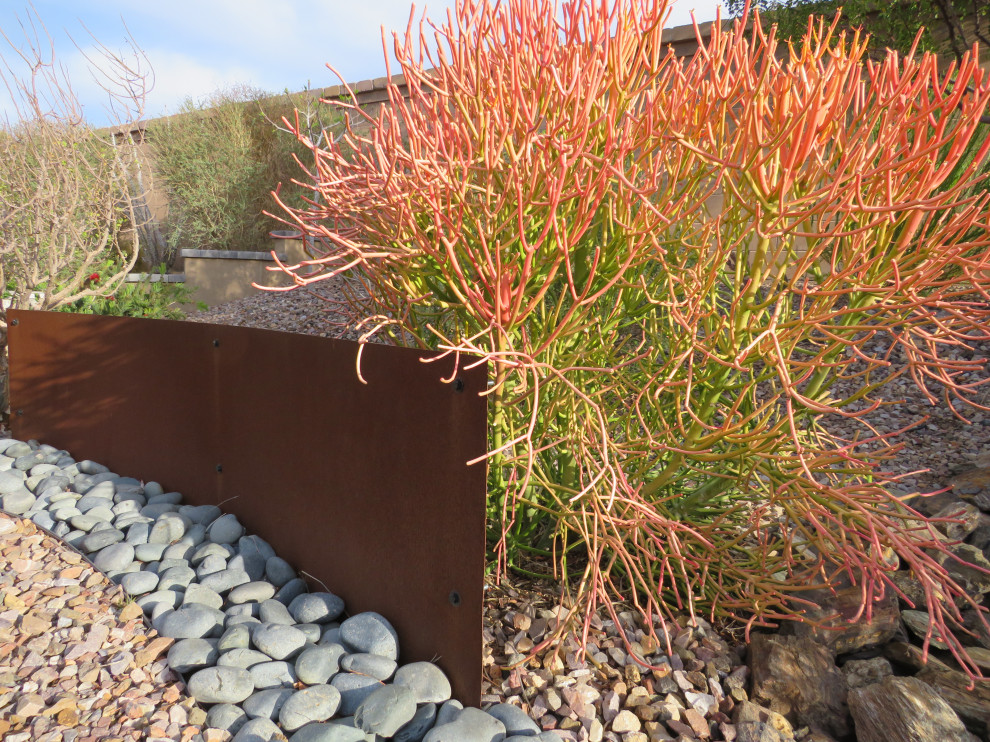 Immagine di un giardino minimalista esposto in pieno sole di medie dimensioni e dietro casa in primavera con pavimentazioni in cemento