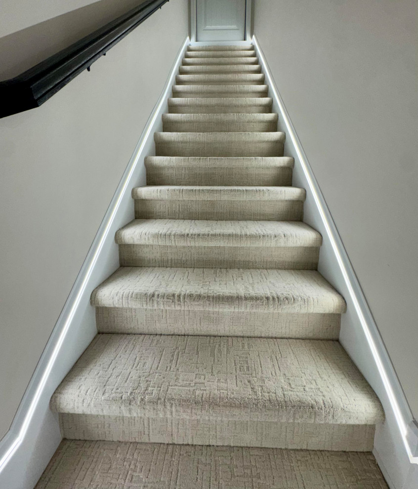 Paulding Basement Remodel